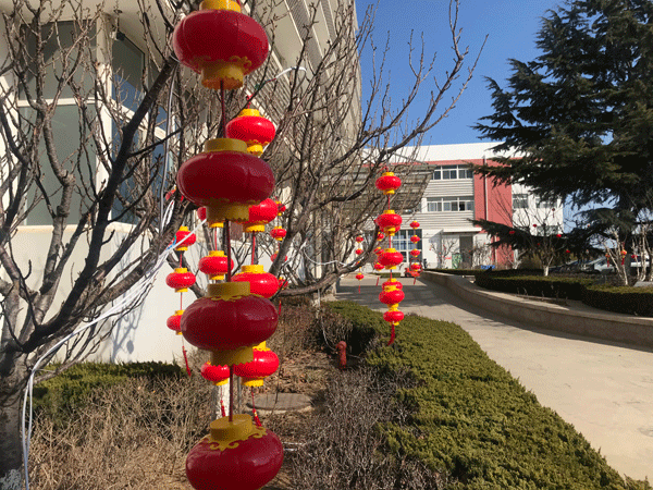 煙臺丹頓玻璃膜祝大家開工大吉！